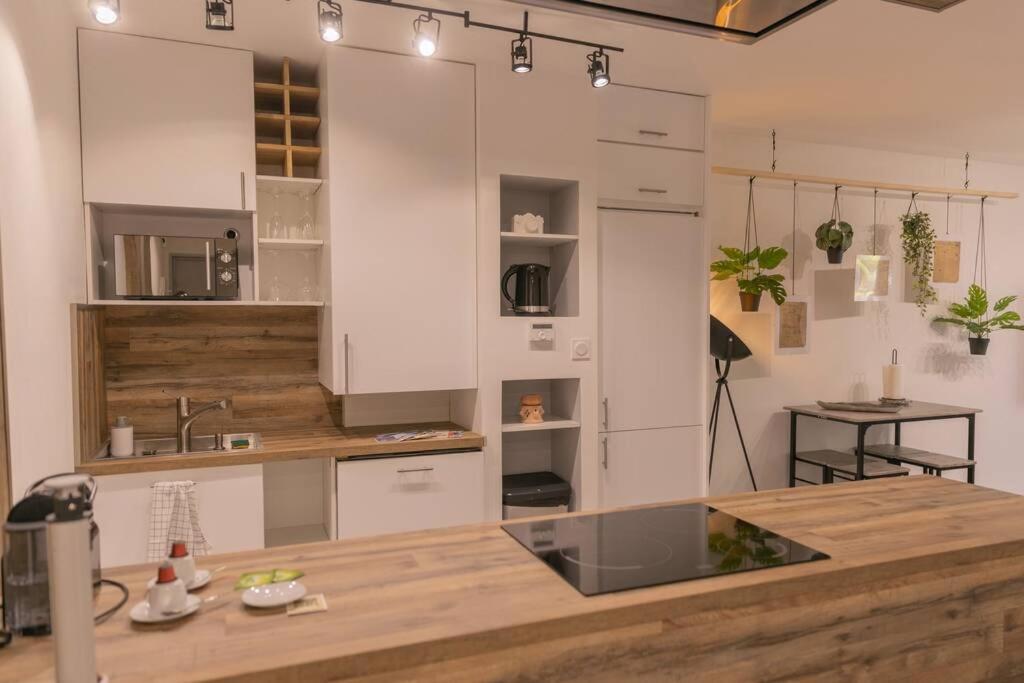 Superbe Appart Plein Centre Avec Parking & Jardin Metz Exterior foto